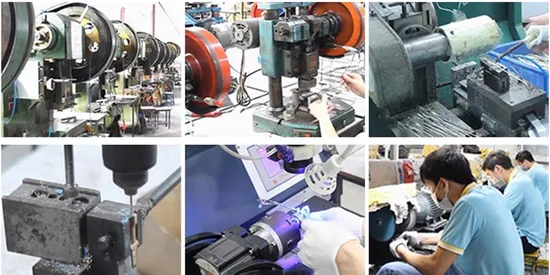 2025 New Customize Round Optical Frame with Metal Screw for Daily Life 