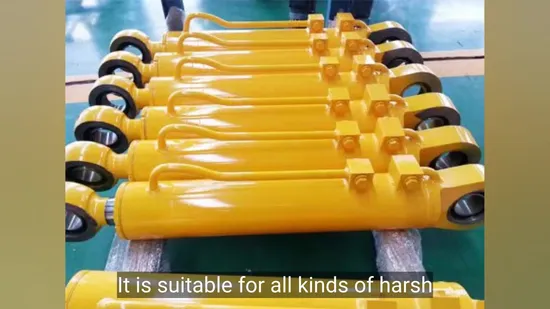 Hydraulic Component for Excavators with Color Customization Options Available 